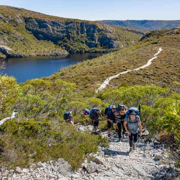 Windy Ridge Hut to Lake St Clair
