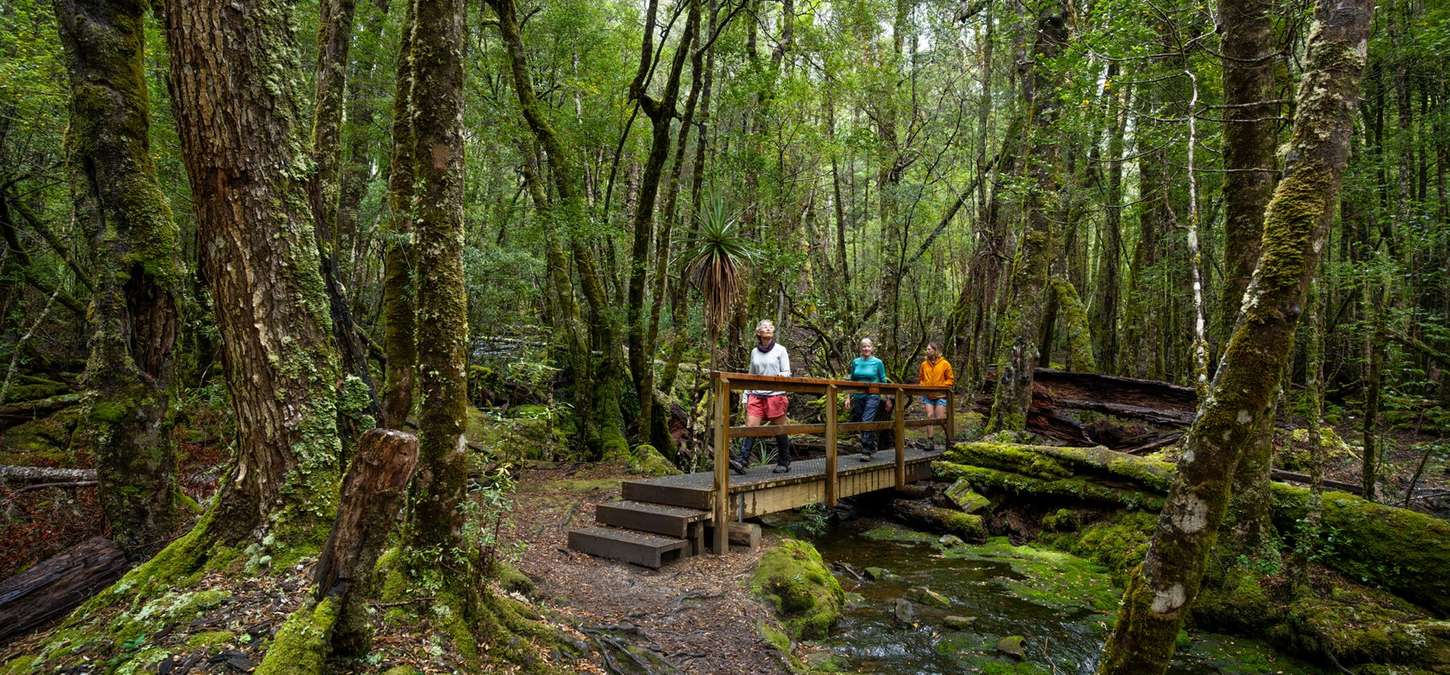 Cradle Mountain: Guided walks on the Overland Track, Tasmania