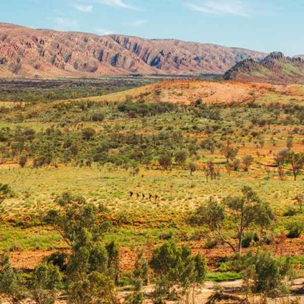 Ormiston Gorge – the Finke River