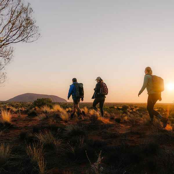 Book Uluṟu-Kata Tjuṯa Signature Walk