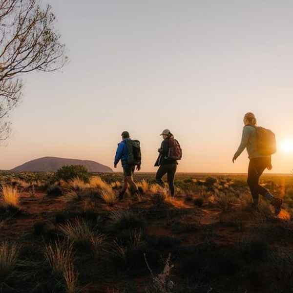 Journey along desert trails
