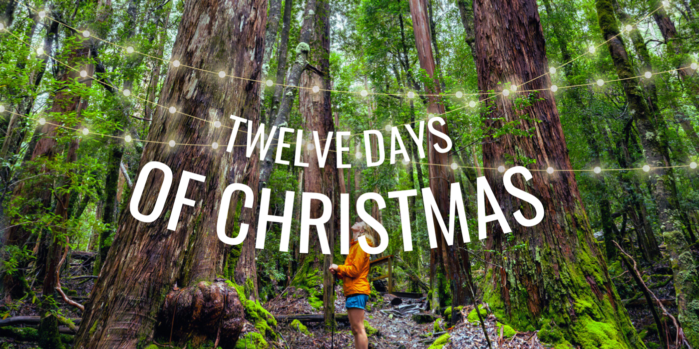 Twelve Days of Christmas - Stories of joy from the Tasmanian wilderness